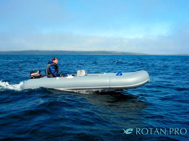 Ротан Р 500 Э Л