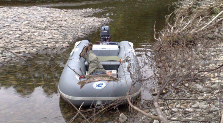 Ротан Р 430 Э Л