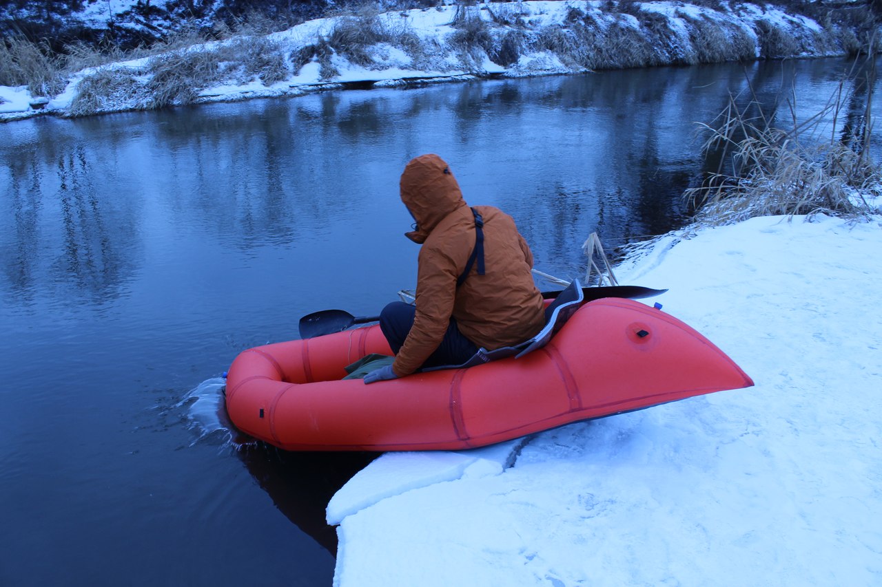 Иволга Стандартная